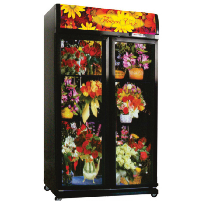 EXPO-1050F
